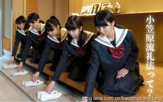 正坐的礼仪之谈 从形制到心境的东方智慧